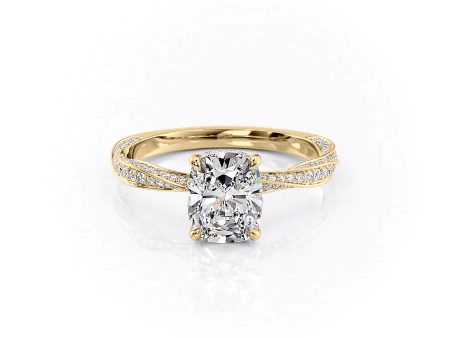 The Caroline Set With A 3 Carat Elongated Cushion Lab Diamond For Cheap