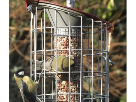 The Nuttery Roundhaus Nut Squirrel Proof Wild Bird Feeder Supply