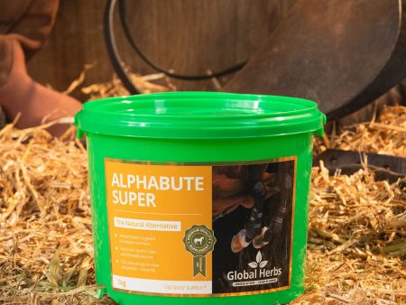 Global Herbs Alphabute Super Hot on Sale