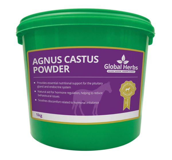 Global Herbs Agnus Castus Powder - 1 Kg For Sale