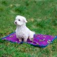 Benji & Flo Thelwell Collection Pony Friends Dog Bed Online now